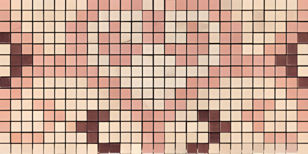 Modulo Carpet C 24.5x49.5