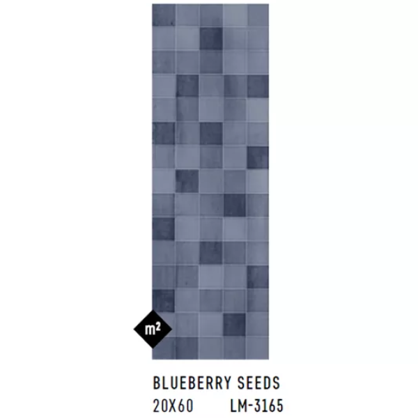 AROMA BLUEBERRY SEEDS 20x60 — изображение 2