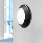 Светильник Fumagalli BERTINA 1B1.000.000.AYG53 (Чёрный/опал)