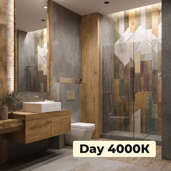 Лента Arlight RT-10000 24V Day4000 2x (3528, 120 LED/m, 10m) (A) — изображение 2
